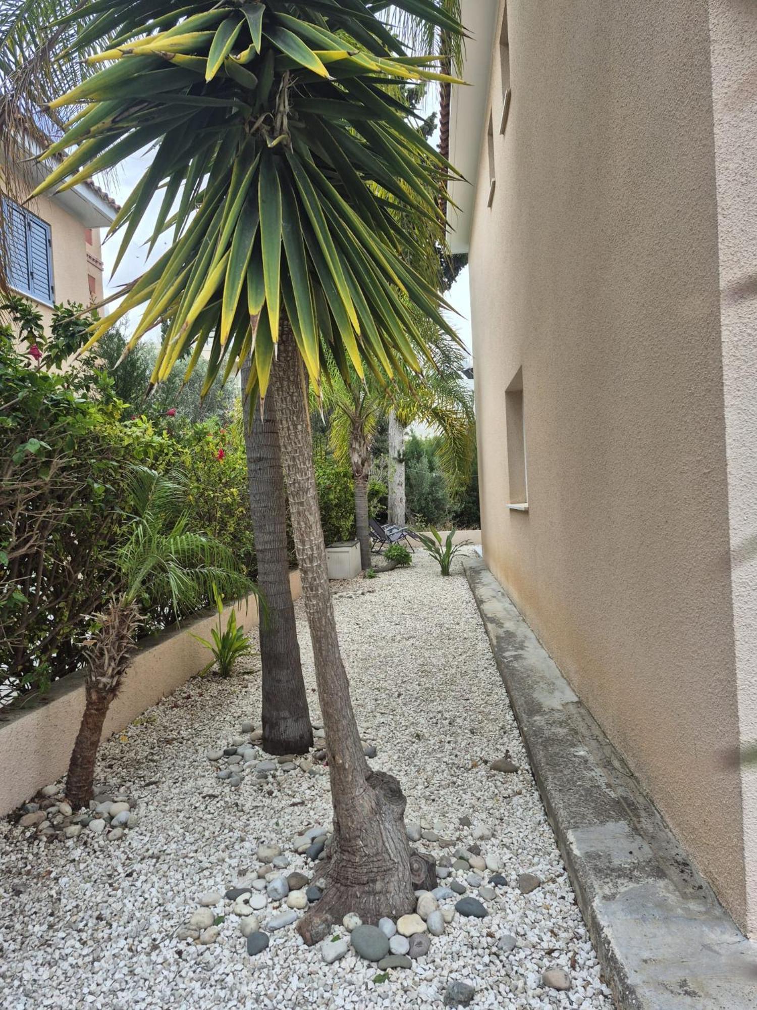 Casa Del Sol Townhouse In Iris Village Paphos Exterior foto